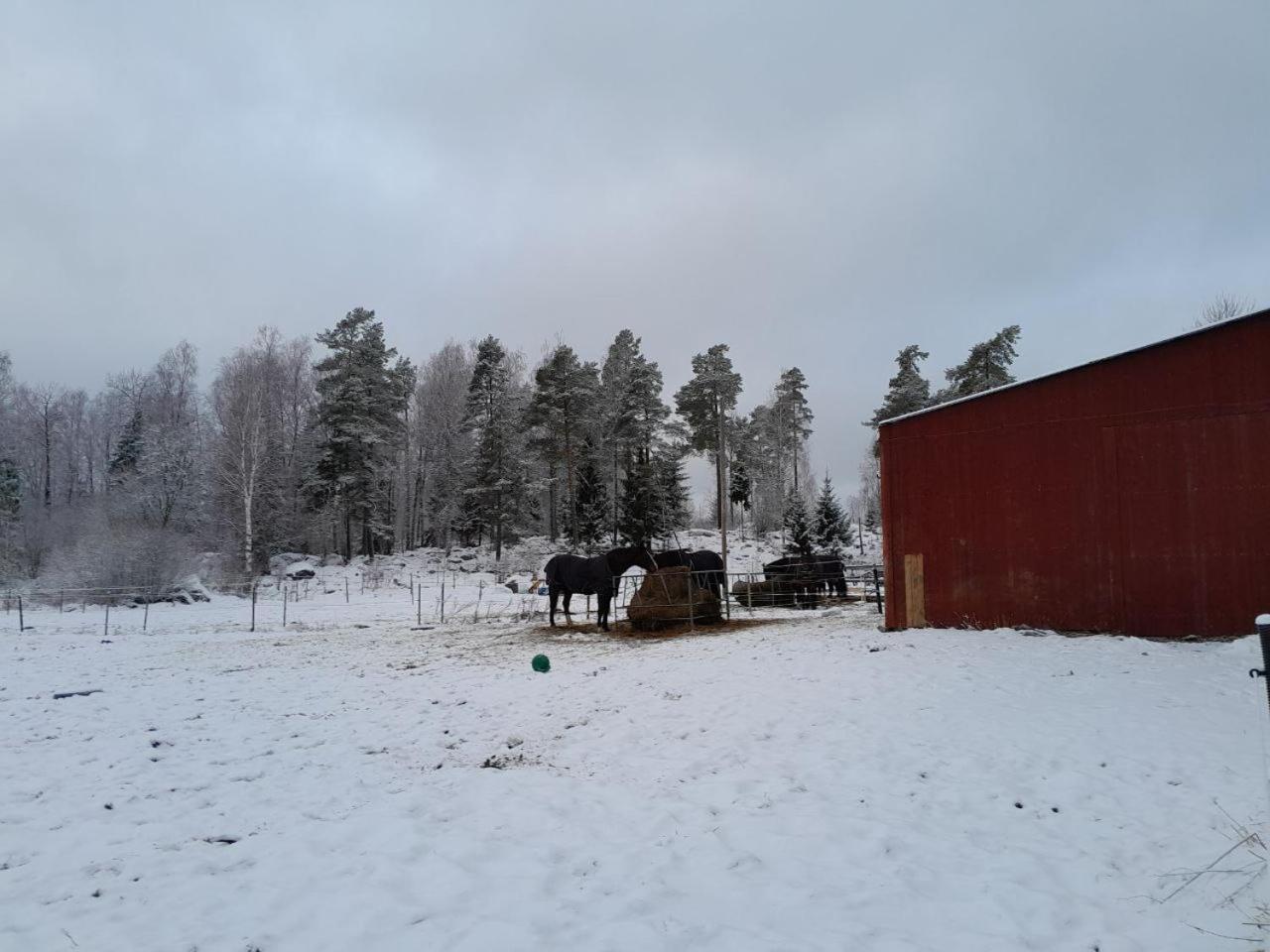 Lotta'S Cottage Rimbo Dış mekan fotoğraf